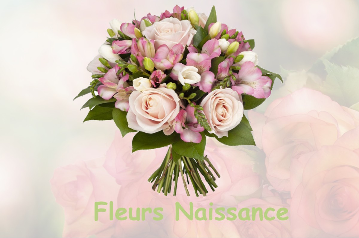 fleurs naissance LE-PLESSIS-GRIMOULT