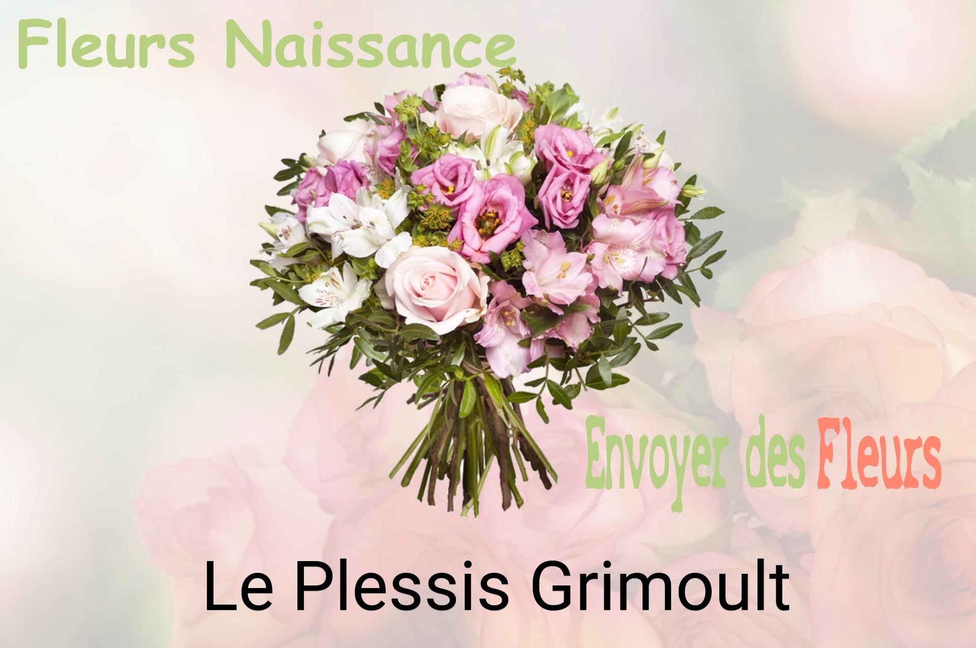 Bouquet de fleurs de naissance livré à Le Plessis-Grimoult